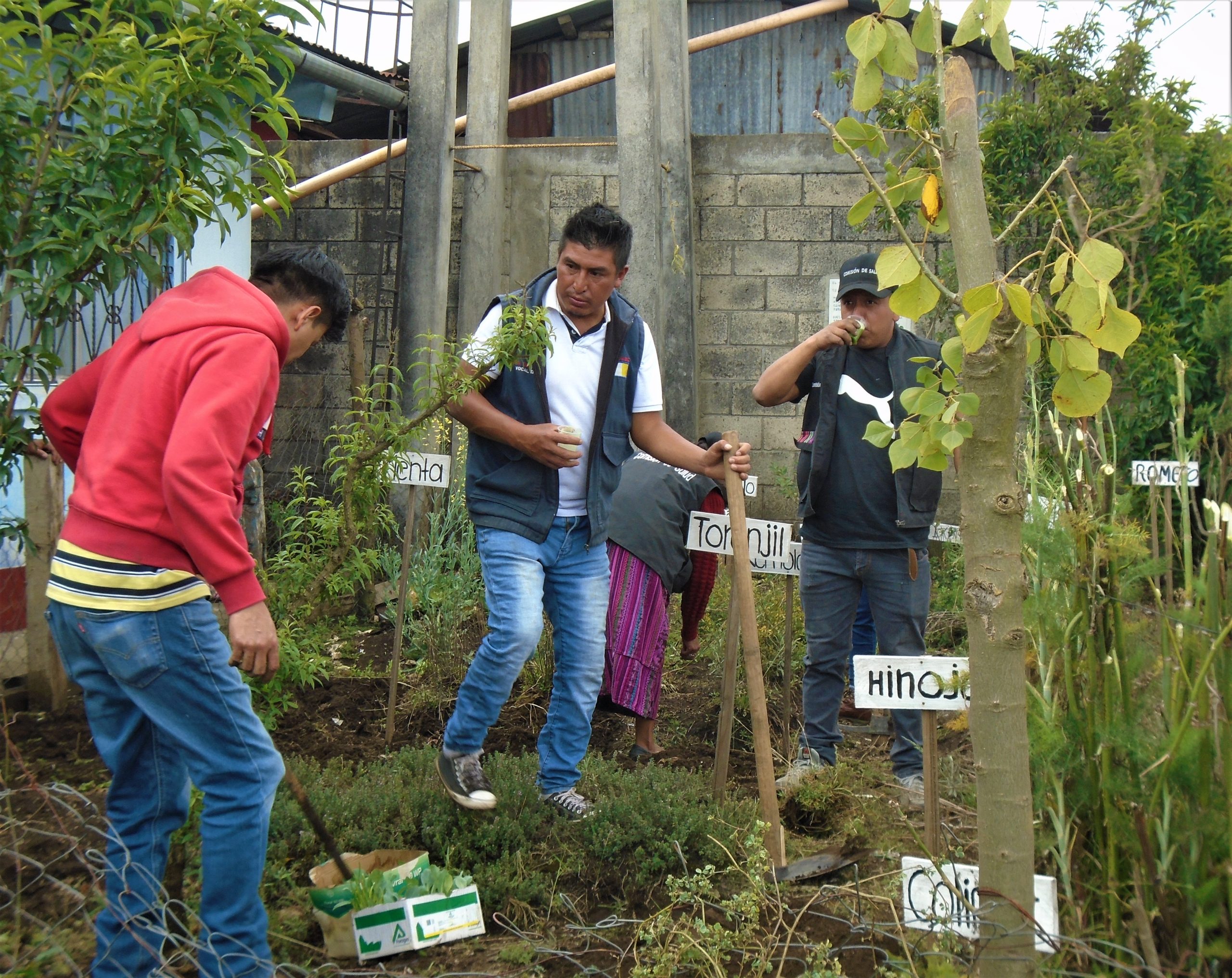 3 people garden in Chinimabe Medicinal plant garden